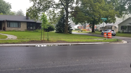 Oakland Ave Resurfacing 21