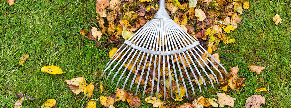 Fall Leaf Pickup Decorative Banner